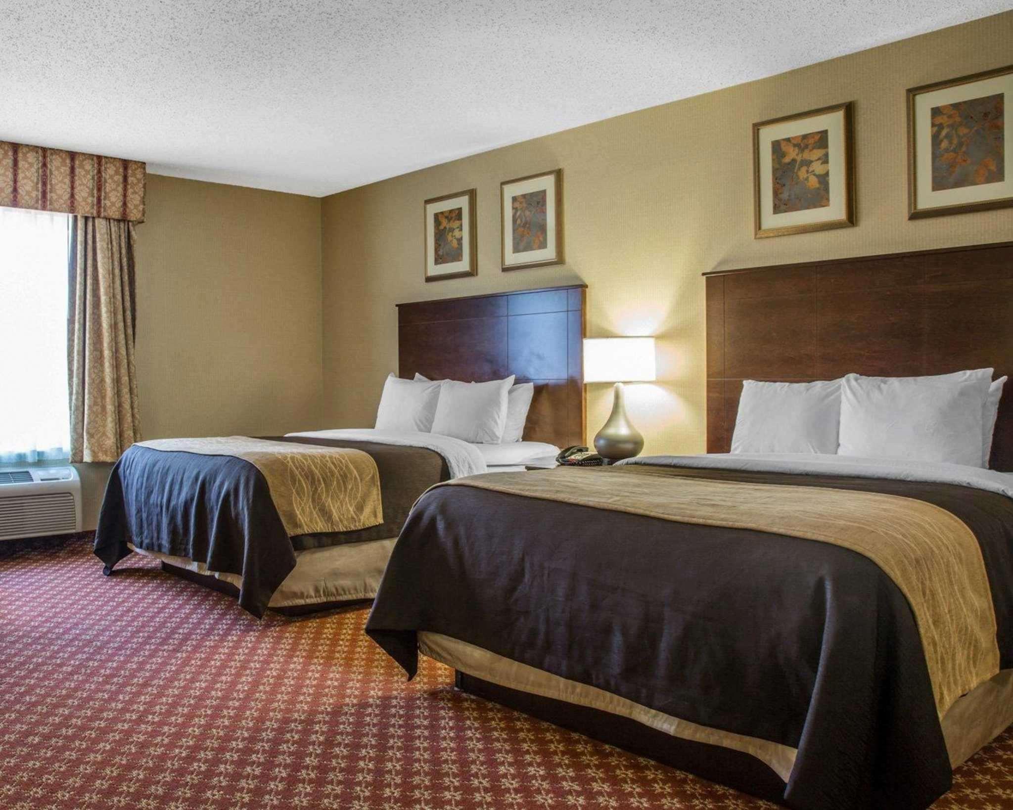 Comfort Inn Naugatuck - Waterbury Exterior foto