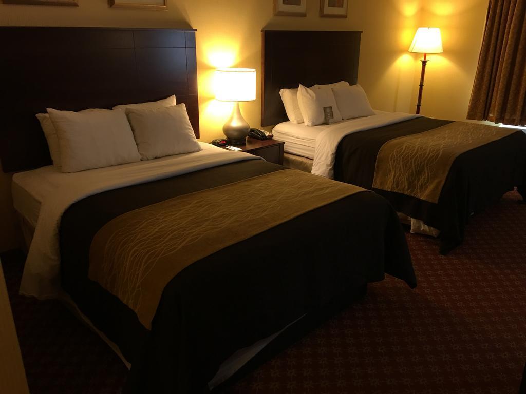 Comfort Inn Naugatuck - Waterbury Exterior foto