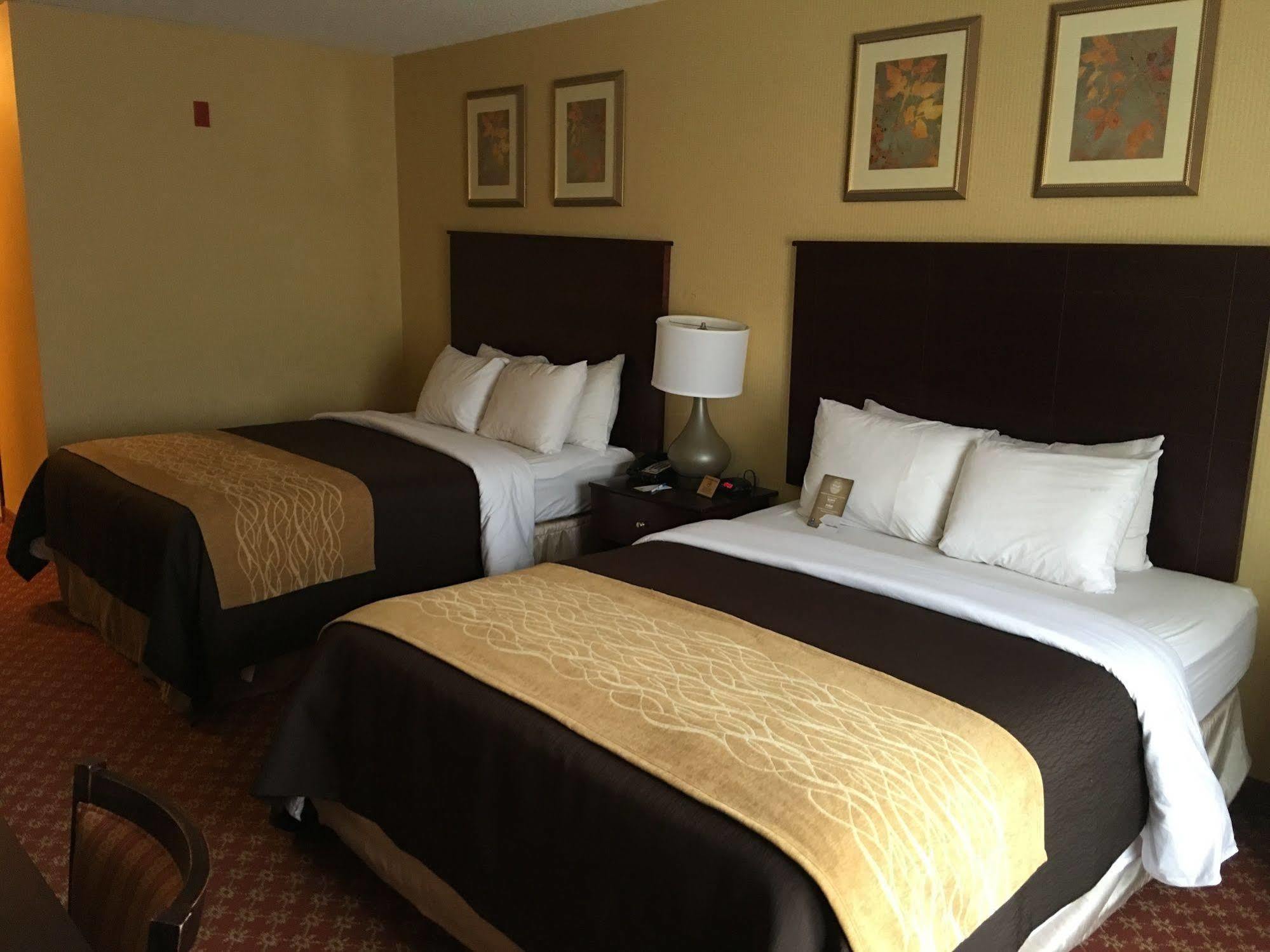Comfort Inn Naugatuck - Waterbury Exterior foto